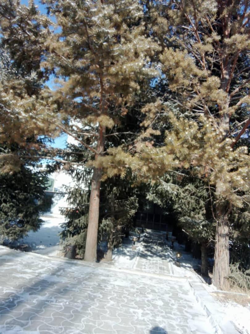 Aska Hotel Naryn Екстер'єр фото